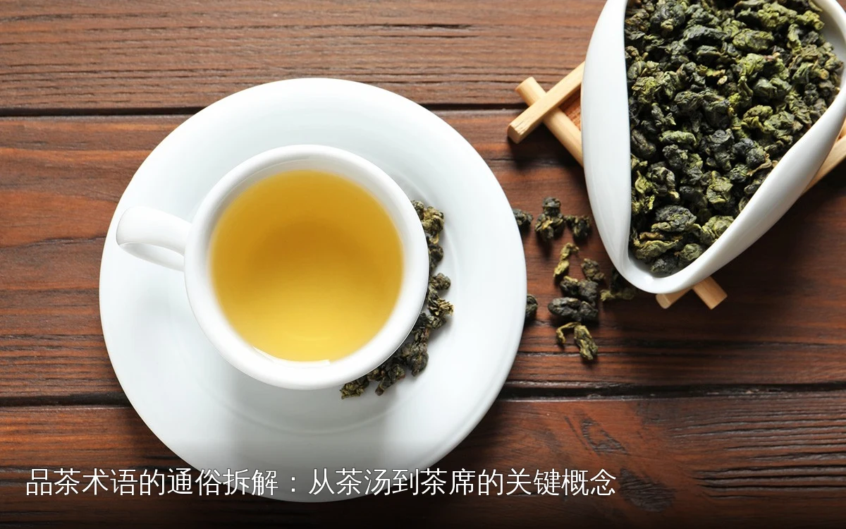 品茶术语的通俗拆解：从茶汤到茶席的关键概念